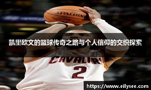 BB贝博登录入口