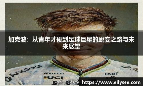 BB贝博